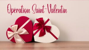 Deux boîtes de chocolats en forme de coeur. Celle de gauche est rouge et celle de droite blanche