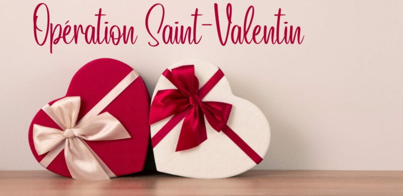 Deux boîtes de chocolats en forme de coeur. Celle de gauche est rouge et celle de droite blanche