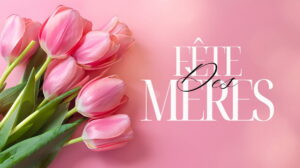Un bouquet de tulipes roses sur un fond rose