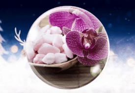 Bulle de Noël Gourmande